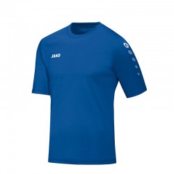 Trikot Team KA sportroyal