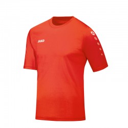 Trikot Team KA flame