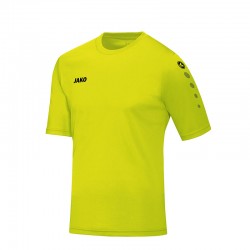 Trikot Team KA lime