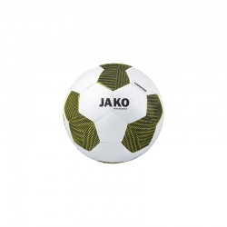 Trainingsball Striker 2.0...