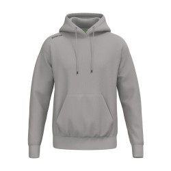 TS Hoody taupe